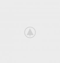 wood-portfolio-placeholder