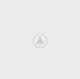 wood-portfolio-placeholder