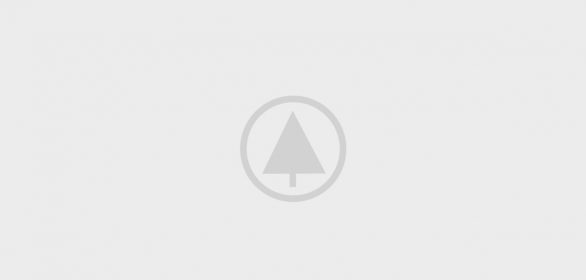 wood-portfolio-placeholder