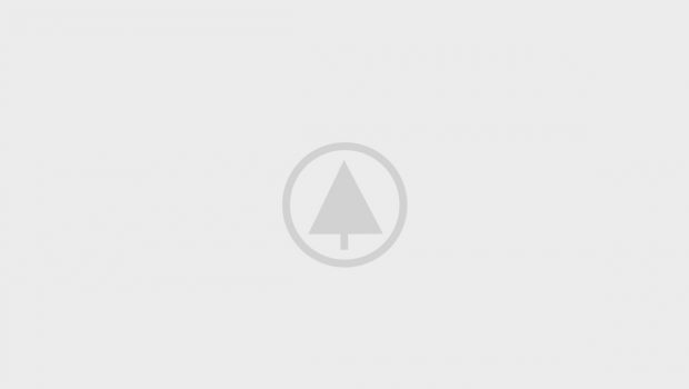 wood-portfolio-placeholder